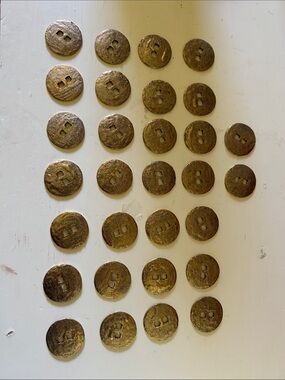 Set of 30 Round Two-Hole Metallic Buttons - Gold Tone